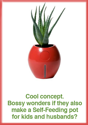 Grobal-Self-Watering-pot.jpg
