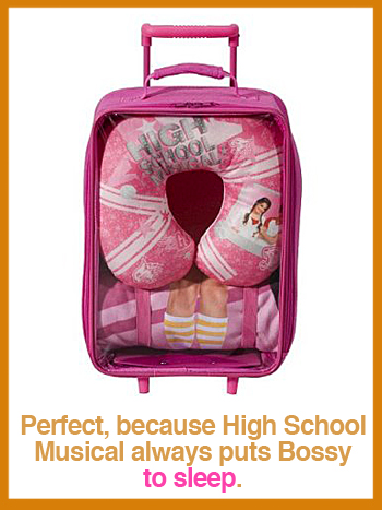 HSM-luggage.jpg