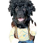 Picture%2041.png