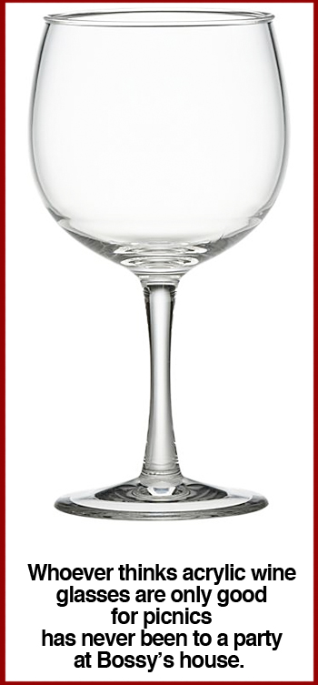 Acrylic Picnic Wine Glass