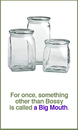 Big Mouth Glass Canisters