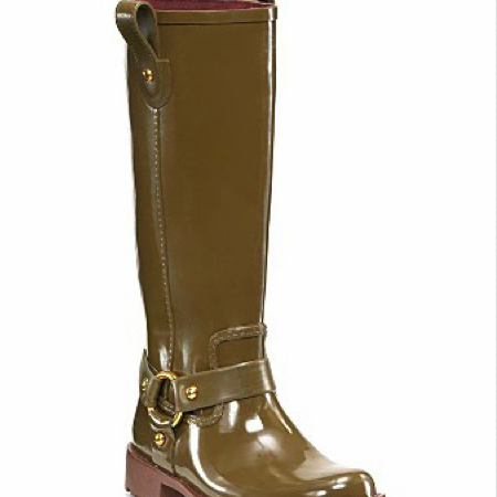 bossy_boot.png