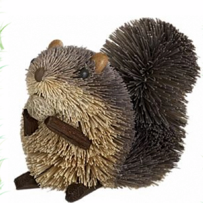 bossy_squirrel.png