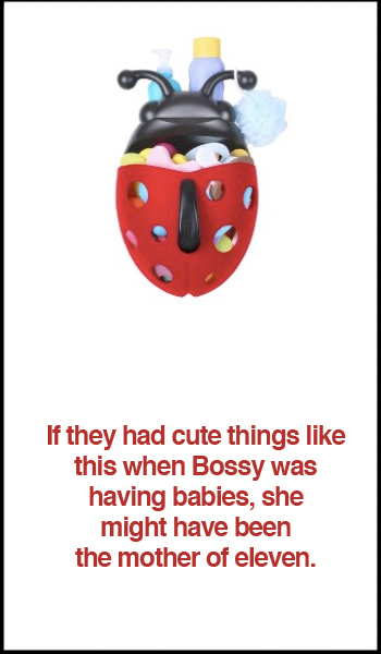 Boon Bug Pod for Bath Toys