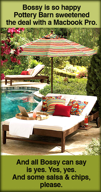 Chesapeake Double Chaise & Cushion