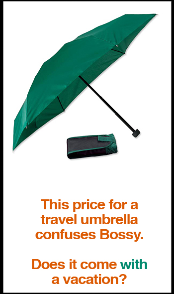 Compact Travel Umbrella