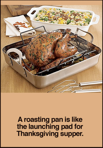 crate-and-barrel-roasting-pan.jpg