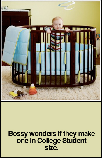Seepi Stokke Crib and Bassinet