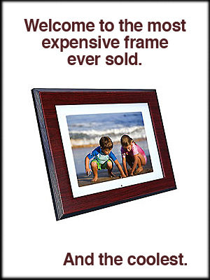 HP 8″ Digital Picture Frame
