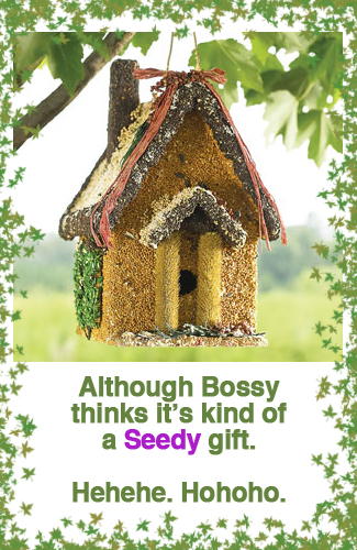 Edible Birdhouse