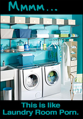 The Platinum elfa® Laundry Center