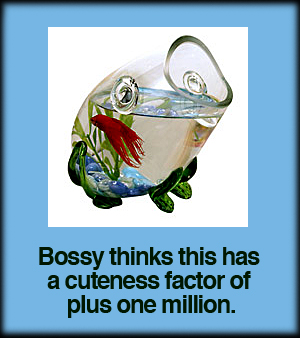Handblown Glass Frog Bowl for Fish