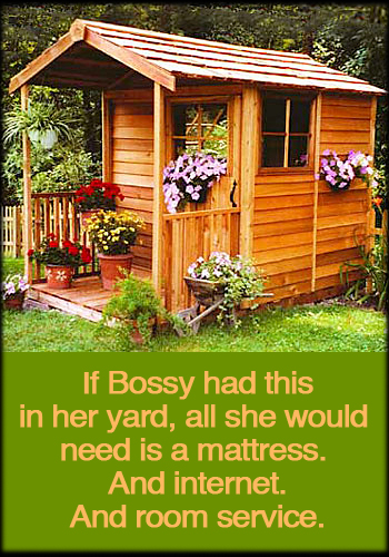 garden-shed.jpg