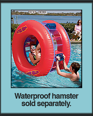 HearthSong Water Roller.