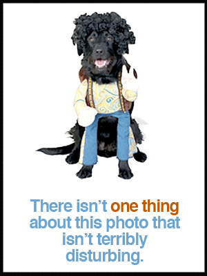 Hippie Grrroovy Dog Costume