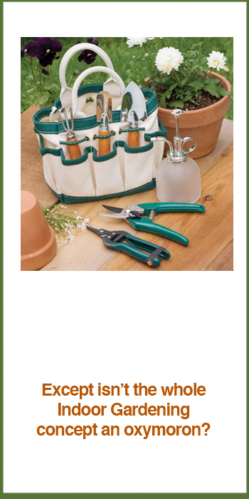 Indoor Gardening Tool Set