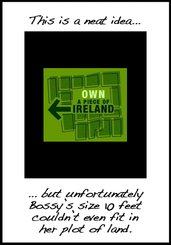 One Square Foot of Ireland Land for St Patrick’s Day