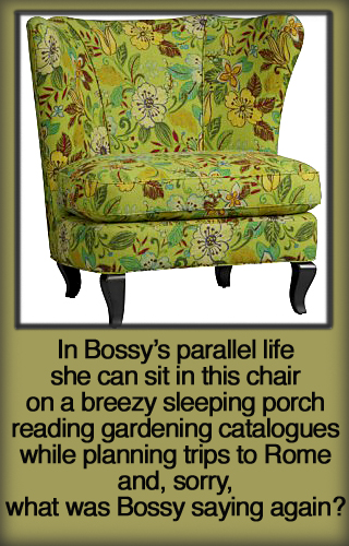 Crate & Barrel’s Jardin Chair.