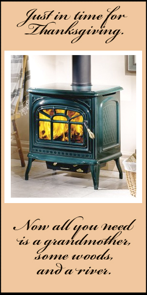 Napoleon Cast Iron Wood Stove
