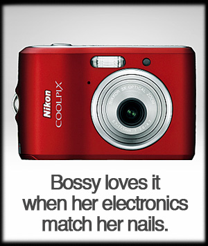 nikon-cool.jpg