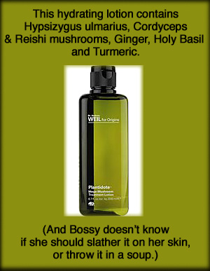 Origins’ Plantidote™ Mega-Mushroom Treatment Lotion.