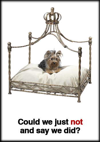 pet-canopy-bed.jpg