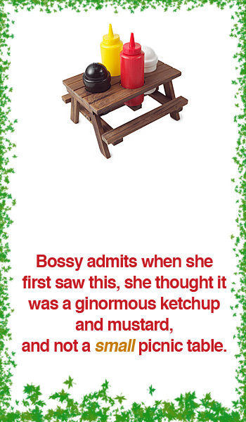 Picnic Table Condiment Set