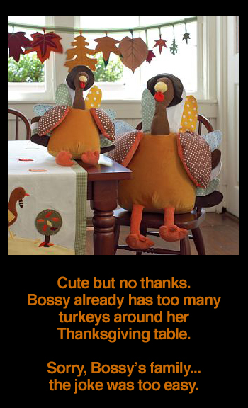 Thanksgiving Turkey Plush Doll
