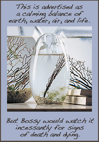 Small 5″ Pod EcoSphere