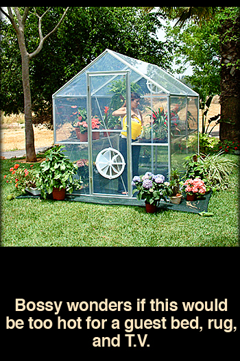 The PolyGreenhouse