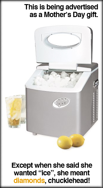 Portable Ice Maker