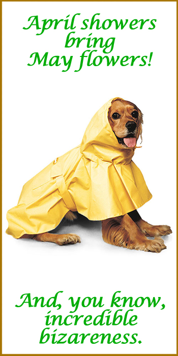 Puddles Rainwear for Dogs