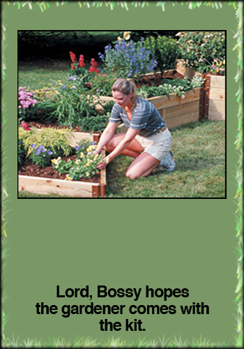 raised-bed-kit.jpg