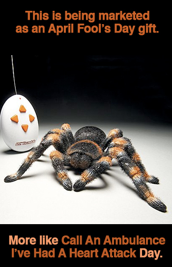 Remote-Controlled Tarantula