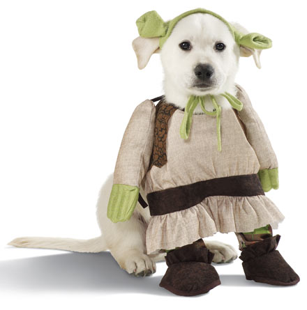 shrek%20dog%20costume.jpg
