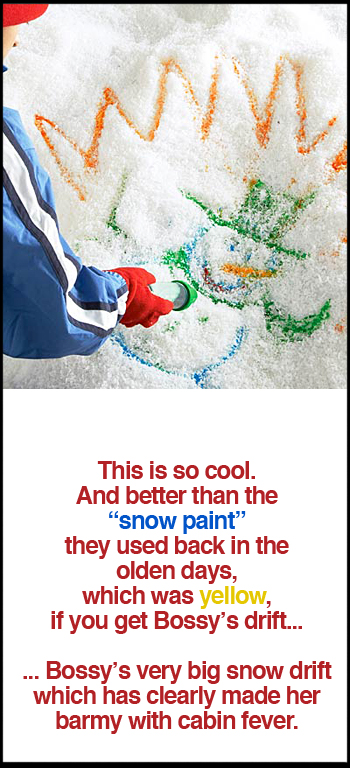 Sno-Paint