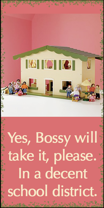 starter-doll-house.jpg