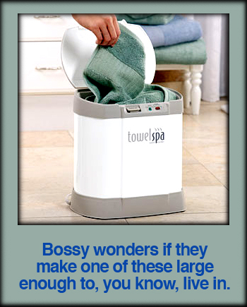 Towel Spa™ Bathroom Towel Warmer