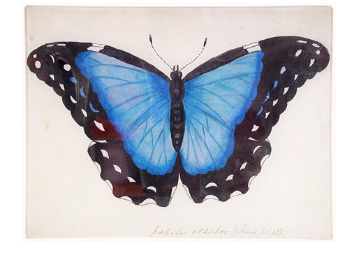 John_derian_tray.png