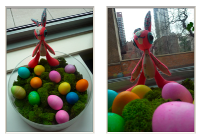 Easter Egg Dyeing