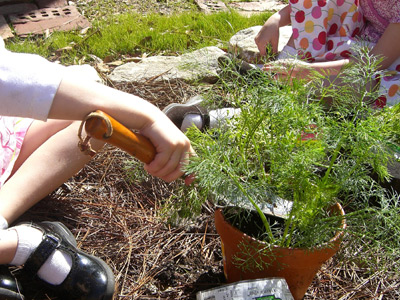 herb-garden-3.jpg