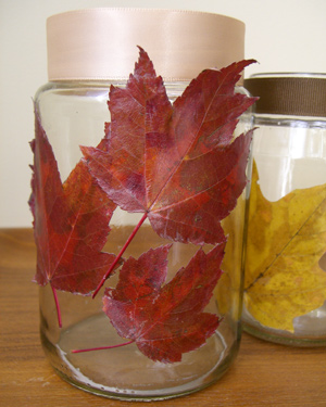 jar-of-thanks1.jpg