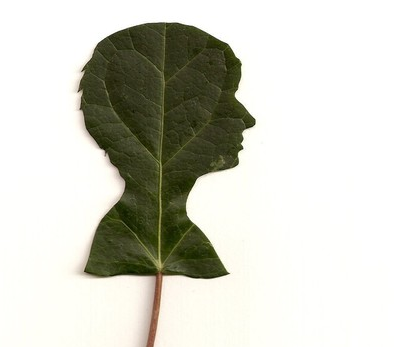 mothers_day_leaf_silhouette.png