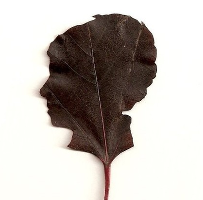 mothers_day_leaf_silhouette_2.png