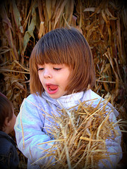 Things to Do With Kids in St. Louis