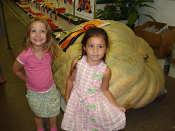 Things to Do With Kids in the Twin Cities