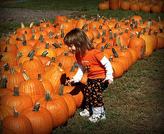 Things to Do With Kids in St. Louis
