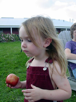 Things to Do With Kids in the Twin Cities