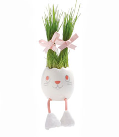 Nyokki%20bunny.jpg