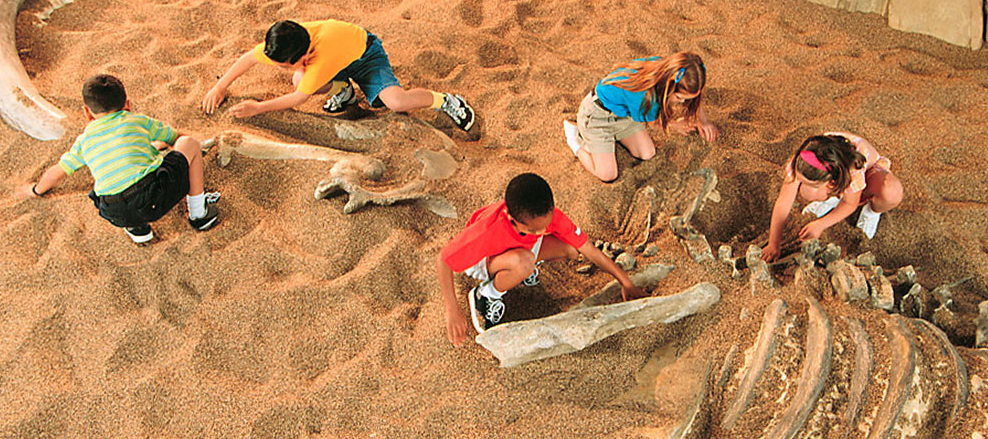 Things To Do at Disney Things To Do at Disney
